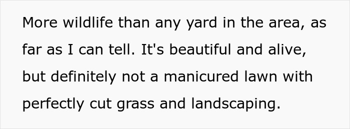 Yard filled with overgrown weeds transforming the space into a certified wildlife habitat rich in diverse animal life.