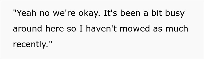 Text saying no one has mowed lawn recently due to being busy, related to Karen Fakes wellness checks and lawn complaints. Text saying no one has mowed lawn recently due to being busy, related to Karen Fakes wellness checks and lawn complaints.