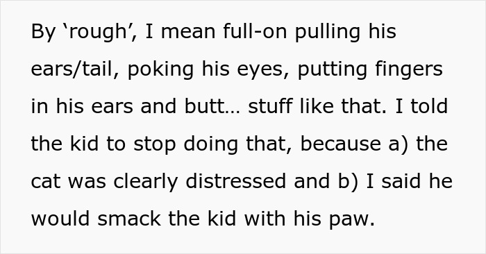 Cat Teaches Aggressive Child Not To Hurt Animals After Parents Failed To Do So