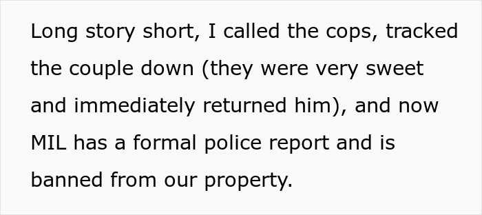 Text about MIL secretly rehoming dog during couple&rsquo;s honeymoon, leading to police report and family fallout.