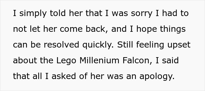 &ldquo;Be A Real Man&rdquo;: MIL Wrecks Man&rsquo;s Lego Set To Prove A Point, Gets Herself Banned From The Home