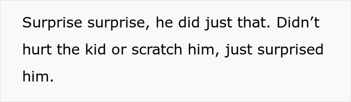 Cat Teaches Aggressive Child Not To Hurt Animals After Parents Failed To Do So