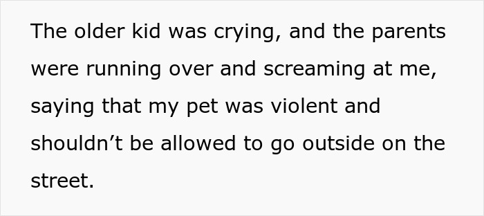 Cat Teaches Aggressive Child Not To Hurt Animals After Parents Failed To Do So