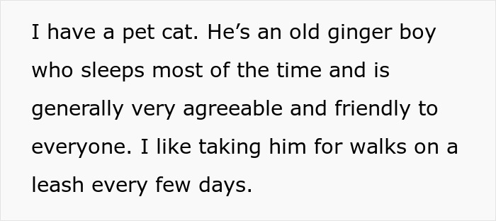 Cat Teaches Aggressive Child Not To Hurt Animals After Parents Failed To Do So