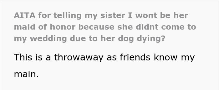 Text post about maid of honor missing sister&rsquo;s wedding after losing dog, discussing wedding and family conflict.