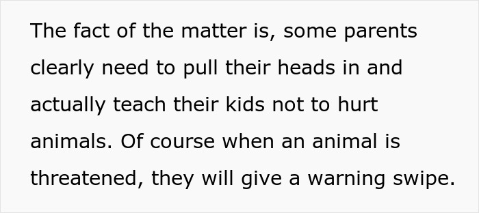 Cat Teaches Aggressive Child Not To Hurt Animals After Parents Failed To Do So