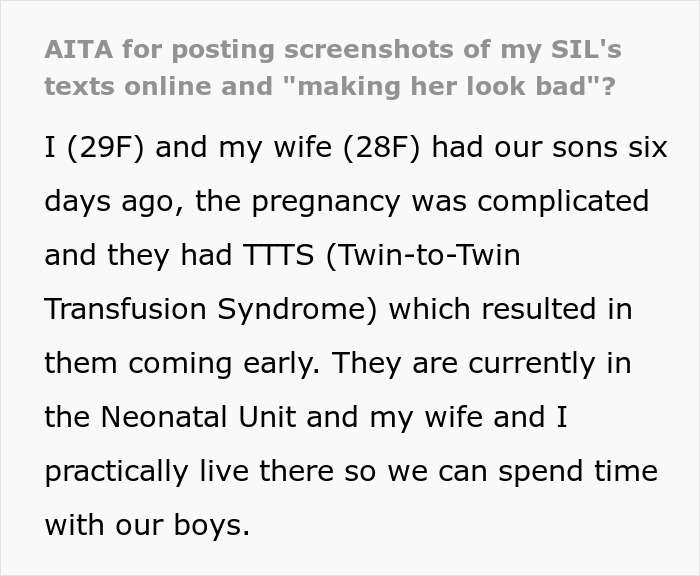Text post discussing AITA for posting screenshots of SIL's texts online and concerns about making her look bad.