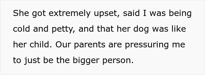 Text message exchange about a maid of honor missing sister&rsquo;s wedding after losing dog and family tension.