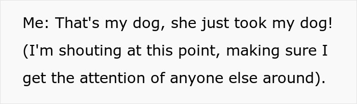 Text on image showing a person shouting to stop kids who almost stole their dog at the park.