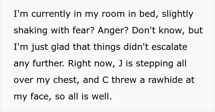 Text describing fear and relief after an incident where a dog was almost stolen by kids at the park.