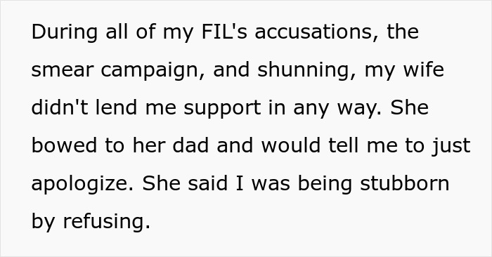 Text describing a son-in-law facing accusations from FIL points finger over missing iPad while wife remains silent.