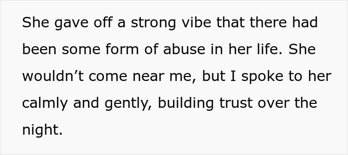 Text describing a babysitter building trust gently with a child who shows signs of possible abuse in difficult living conditions.