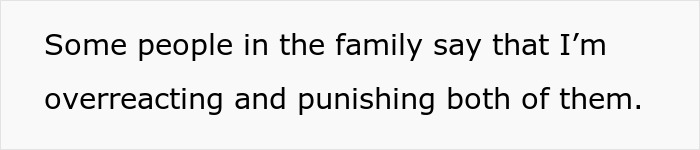 Text on a plain white background stating a family member feels accused of overreacting and punishing both parties involved.