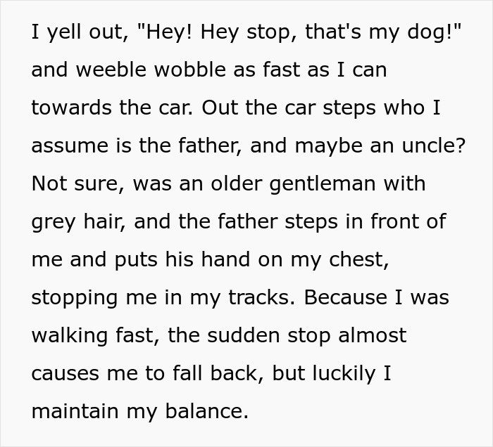 Dog almost gets stolen by kids at park while owner tries to stop them and parents react strongly.