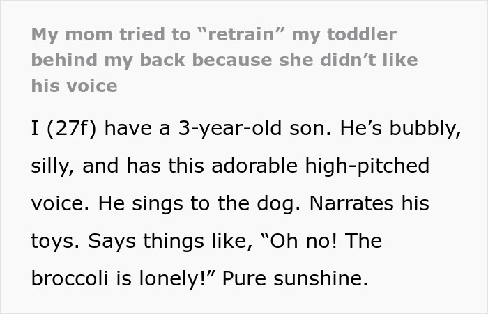 Grandma One Mistake Away From No Contact After She Tries &ldquo;Retraining&rdquo; 3YO To Be More Boyish