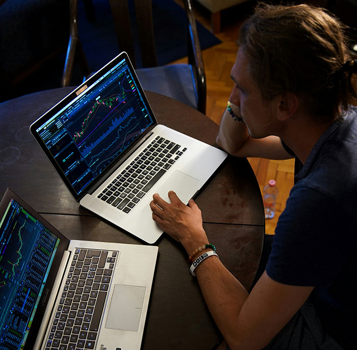 Person analyzing financial charts on laptops, symbolizing recognition of the biggest elephant or blue whale in the room.