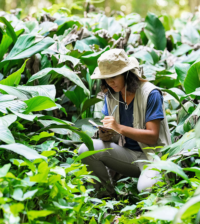 Person wearing a hat writing notes while surrounded by lush green plants, illustrating the biggest elephant in the room concept.
