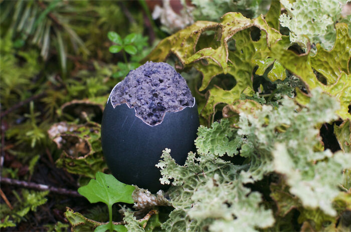 I Carried 50 Lbs Of Handmade Artwork Into The Oregon Wilderness For The Best Mother’s Day Surprise Ever I Carried 50 Lbs Of Handmade Artwork Into The Oregon Wilderness For The Best Mother’s Day Surprise Ever