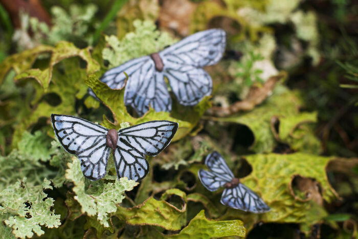 I Carried 50 Lbs Of Handmade Artwork Into The Oregon Wilderness For The Best Mother’s Day Surprise Ever I Carried 50 Lbs Of Handmade Artwork Into The Oregon Wilderness For The Best Mother’s Day Surprise Ever