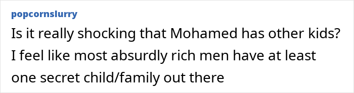 Comment discussing the possibility of secret children or family members among wealthy men in response to Hadid sisters' revelation. Comment discussing the possibility of secret children or family members among wealthy men in response to Hadid sisters' revelation.