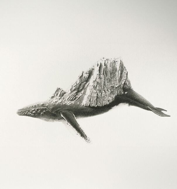 Graphite drawing of a whale with a textured mountain-like back, blending natural elements in an unsettling, surreal style.
