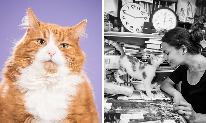 40 Purrfect Cat Pics That Might Warm Your Soul (And Make You Laugh)