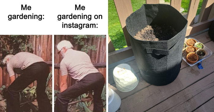 20 All-Time Best Gardening Finds Will Make Your Plants Say “Thank You Berry Much”