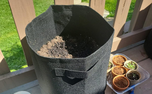 20 All-Time Best Gardening Finds Will Make Your Plants Say “Thank You Berry Much”
