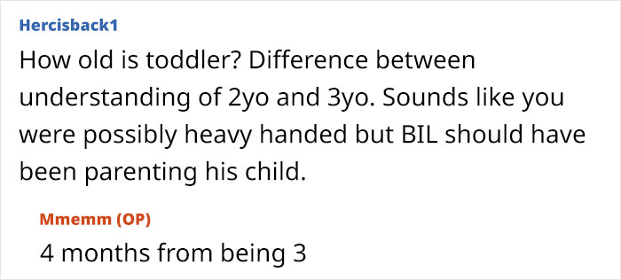 Screenshot of an online discussion about disciplining and parenting a toddler aged almost three years old. Screenshot of an online discussion about disciplining and parenting a toddler aged almost three years old.