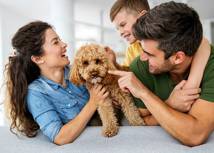 Family interacting with a dog on the couch, highlighting dynamics related to brother's girlfriend and kids expectations.