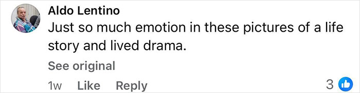 Comment by Aldo Lentino expressing deep emotion about the Pompeii discovery showing parents' tragic attempt to shield child.