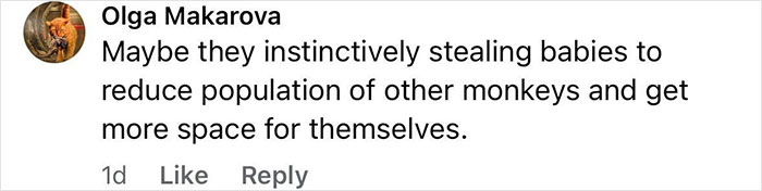 Comment by Olga Makarova suggesting monkeys instinctively steal babies to reduce other species' population and gain more space for themselves.