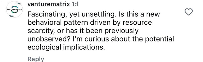 Comment on social media discussing scientists shocked after hidden camera caught monkeys kidnapping babies of another species.