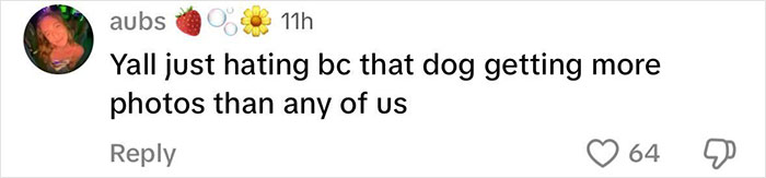 "This Is So Cruel": Sydney Sweeney Slammed For Parading Puppy On Met Gala Red Carpet "This Is So Cruel": Sydney Sweeney Slammed For Parading Puppy On Met Gala Red Carpet