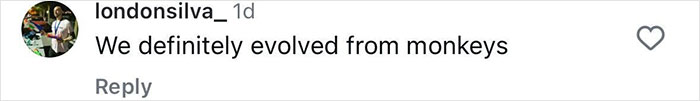 Comment on social media stating humans evolved from monkeys, related to scientists shocked by monkeys kidnapping babies of another species.