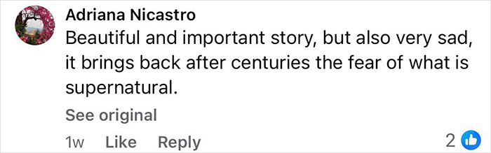Comment by Adriana Nicastro expressing how the new Pompeii discovery reveals parents&rsquo; tragic attempt to shield child, sparking global heartbreak.