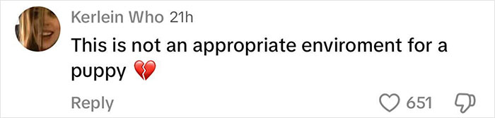 Comment on social media criticizing Sydney Sweeney for parading a puppy on Met Gala red carpet, calling it cruel. Comment on social media criticizing Sydney Sweeney for parading a puppy on Met Gala red carpet, calling it cruel.