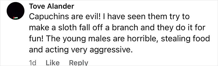 Comment by Tove Alander describing aggressive behavior of capuchin monkeys, including stealing food and causing harm to other animals.