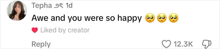 Screenshot of a social media comment expressing sympathy for a woman upset after a TSA bag mix-up incident.