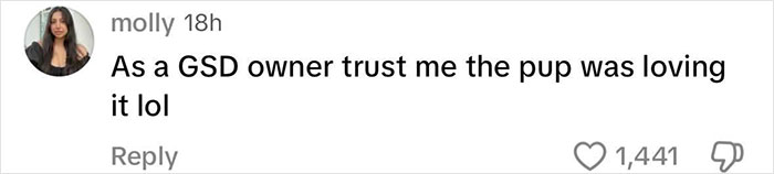 Comment on social media defending Sydney Sweeney for parading her puppy at the Met Gala, mentioning the puppy was happy. Comment on social media defending Sydney Sweeney for parading her puppy at the Met Gala, mentioning the puppy was happy.