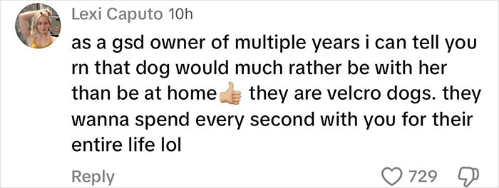 Comment from Lexi Caputo defending Sydney Sweeney, saying her dog prefers being with her and they are velcro dogs. Comment from Lexi Caputo defending Sydney Sweeney, saying her dog prefers being with her and they are velcro dogs.