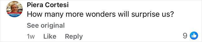 Screenshot of a social media comment reacting to the New Pompeii discovery showing parents&rsquo; tragic attempt to shield child.