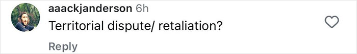 Comment on a social media post questioning a territorial dispute or retaliation, posted by user aaackjanderson.