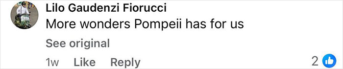 Comment by Lilo Gaudenzi Fiorucci stating more wonders Pompeii has for us, reflecting on new Pompeii discovery.