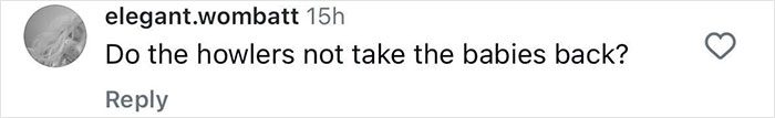 Screenshot of a social media comment questioning if howler monkeys return kidnapped babies of another species.