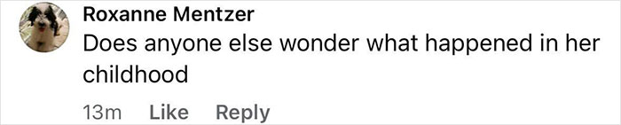 Comment from Roxanne Mentzer questioning what happened in Annie Knight's childhood, relating to the 583-man stunt incident. Comment from Roxanne Mentzer questioning what happened in Annie Knight's childhood, relating to the 583-man stunt incident.