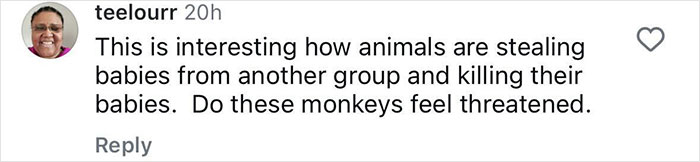 Comment discussing monkeys kidnapping and killing babies of another species, questioning their behavior and threat perception.
