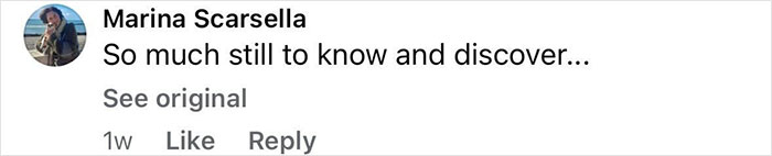 Comment by Marina Scarsella reflecting on ongoing Pompeii discoveries and their emotional impact on parents' tragic attempt to shield child.