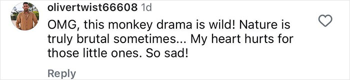 Comment expressing shock and sadness about monkeys kidnapping babies of another species caught on hidden camera.