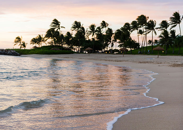 45 Times Adults Didn't Know Very Basic Things And Someone Had To Give Them A Reality Check